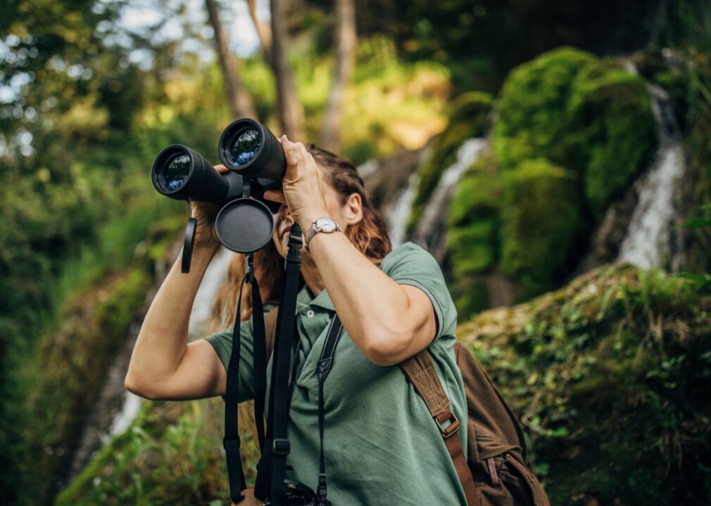 #40. Conservation biology